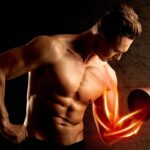 Protein Powder to Build Muscle