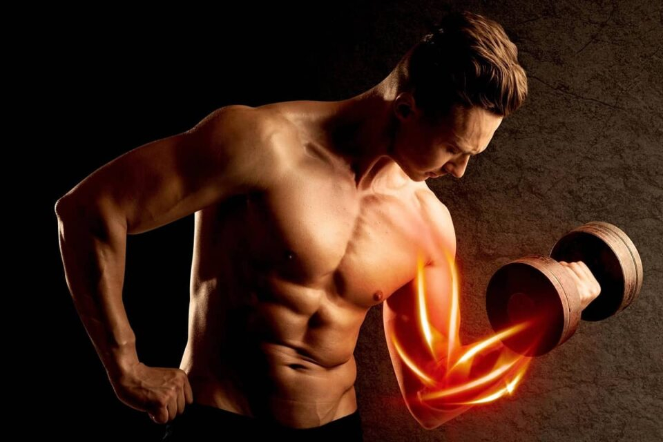 Protein Powder to Build Muscle