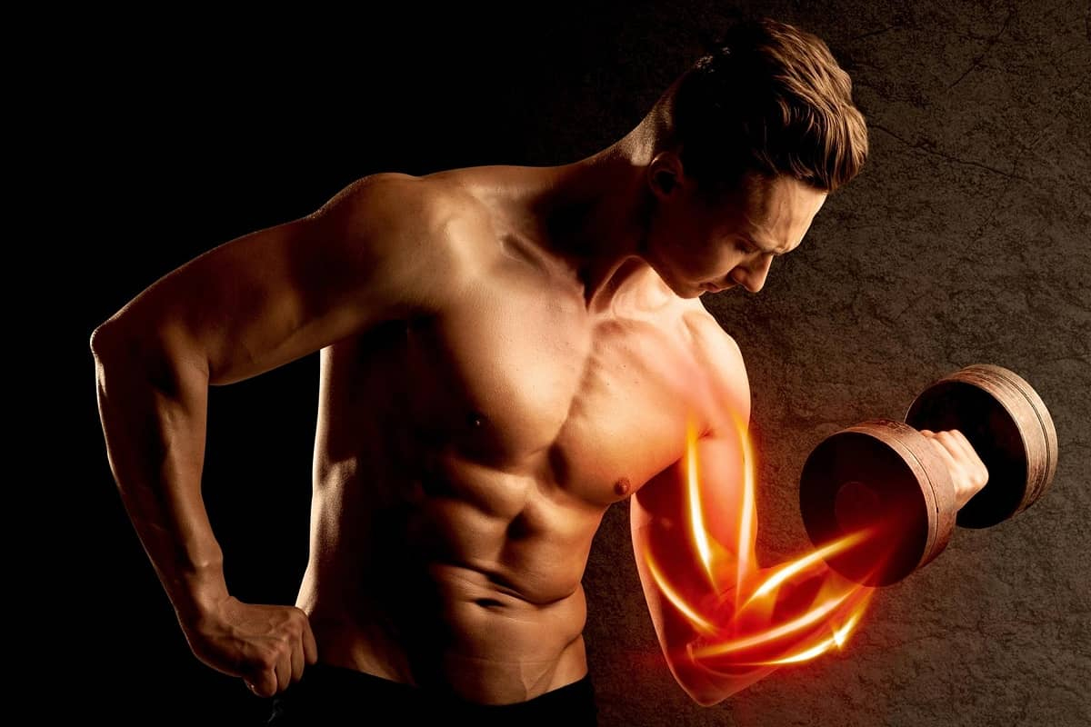 Protein Powder to Build Muscle