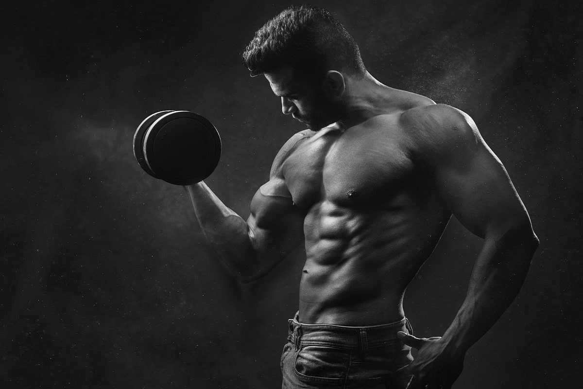 Workouts Routines for Beginners