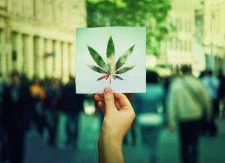 dispensary marketing