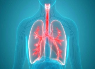 respiratory system
