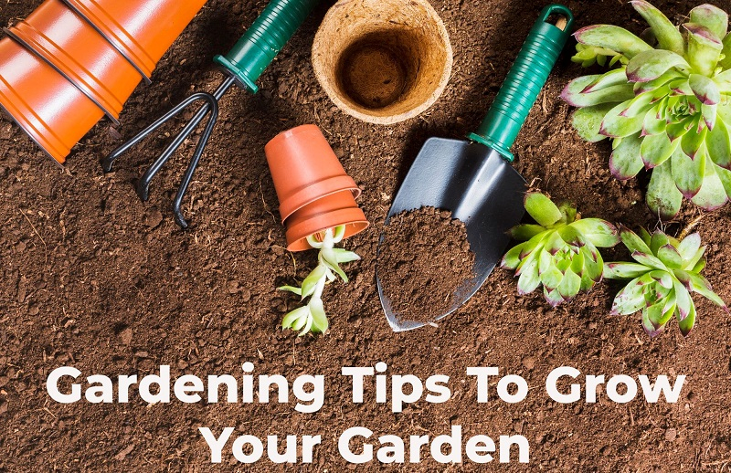 Gardening Tips To Grow Your Garden