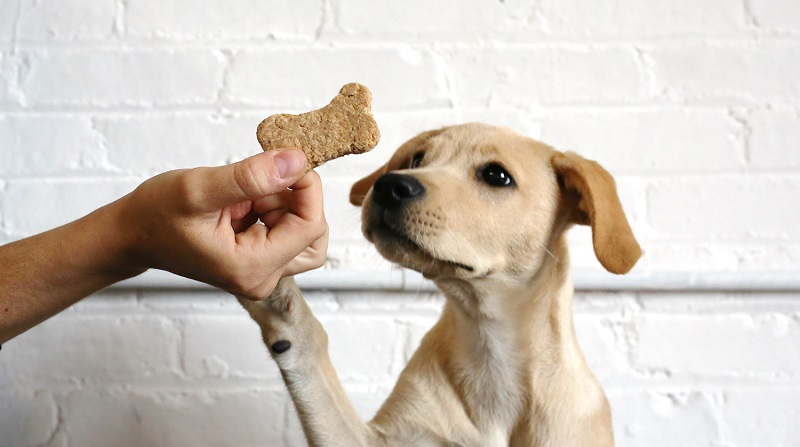 natural dog treats