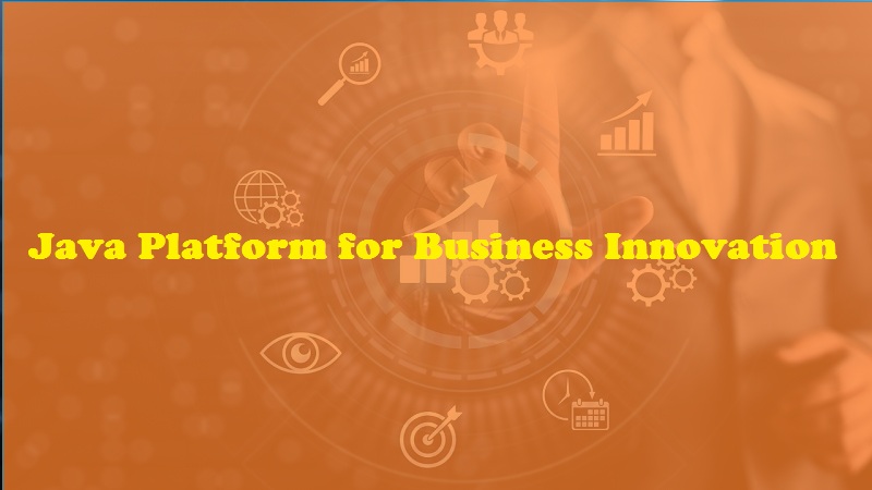 Java Platform for Business Innovation