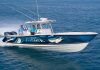 Boat Wraps