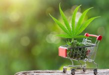 Cannabis Dispensaries