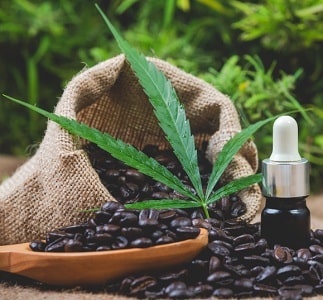 Medical and Recreational Cannabis Dispensaries