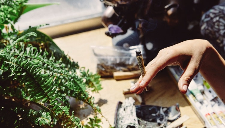 Things to Consider in Cannabis Dispensaries