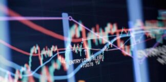 Kapital Consult Review