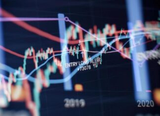 Kapital Consult Review