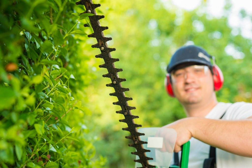 Spring Maintenance