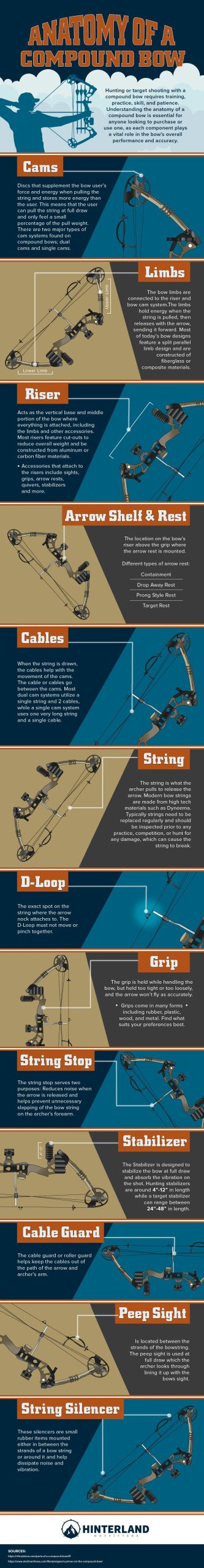 Unveiling the Anatomy of a Compound Bow: An Infographics