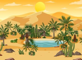 Designing the Summer Oasis