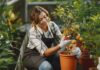 Gardening Tips To Grow Your Garden