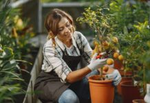 Gardening Tips To Grow Your Garden