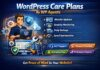 Agencies Are Choosing White-Label WordPress Care Plans
