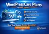 WP Agents WordPress Care Plans in the USA