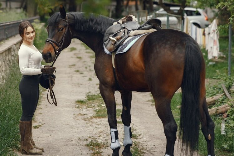 Equipment for Safe and Successful Horse Jumping