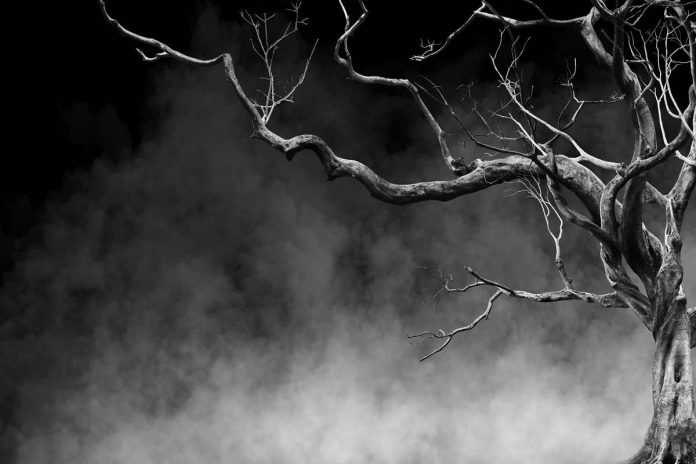 Real Life Ghost Stories