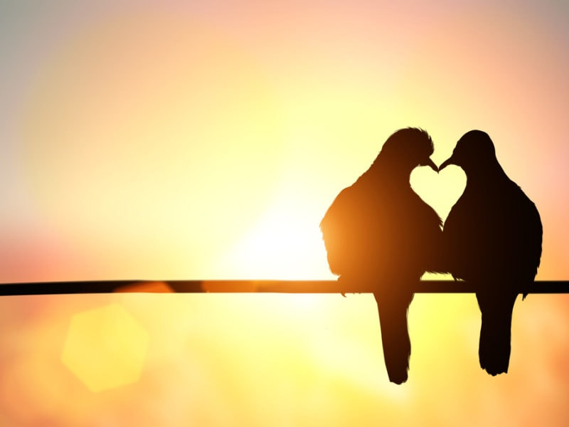 love wallpapers
