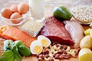 protein diet plan